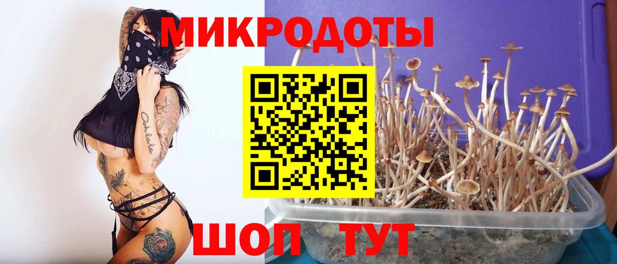 Гурьевск  Галлюциногенные грибы GOLDEN TEACHER  Галлюциногенные грибы Cubensis  Вход с VPN 